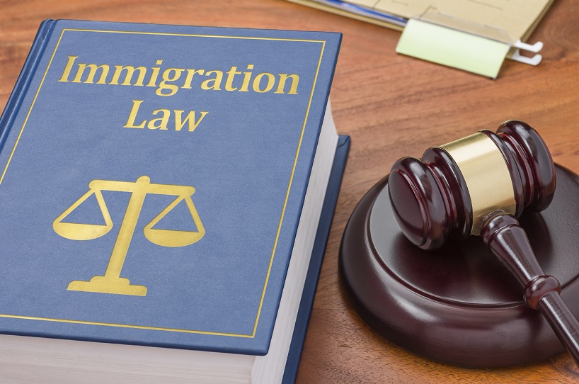 Immigration Services